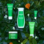 Weleda Skin Food, насыщенный крем для интенсивного ухода за сухой и очень сухой кожей, 75 мл: цены и характеристики