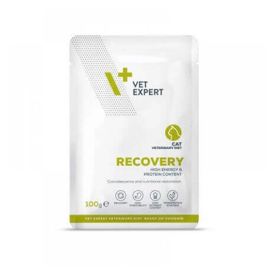 Вологий корм для котів Recovery Cat, 100 г, VetExpert: ціни та характеристики