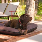 Harley & Cho (Харлі енд Чо) Lounger Waterproof - Двосторонній лежак-понтон для собак, вологостійка тканина, 135х95 см (Шоколад): ціни та характеристики