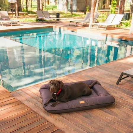 Harley & Cho (Харлі енд Чо) Lounger Waterproof - Двосторонній лежак-понтон для собак, вологостійка тканина, 135х95 см (Шоколад): ціни та характеристики