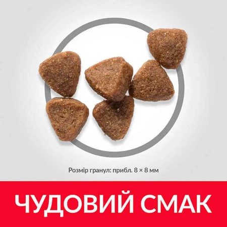 Hill's Science Plan Kitten Chicken Сухий корм з куркою для кошенят до 1 року, 5 кг + 2 кг: ціни та характеристики