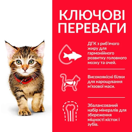 Hill's Science Plan Kitten Chicken Сухий корм з куркою для кошенят до 1 року, 5 кг + 2 кг: ціни та характеристики