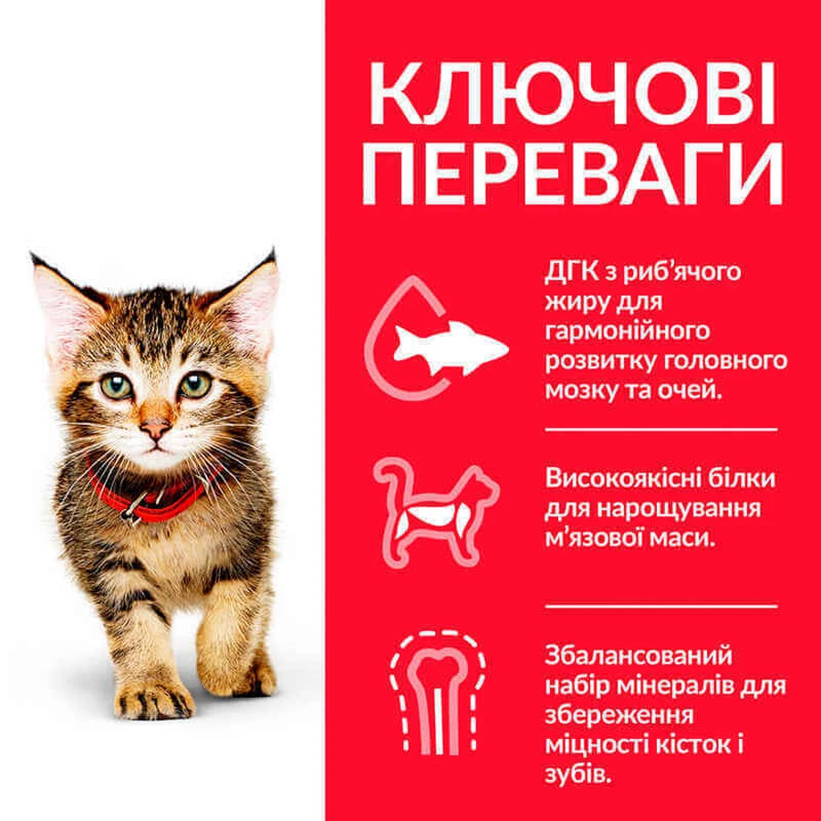 Hill's Science Plan Kitten Chicken Сухий корм з куркою для кошенят до 1 року, 5 кг + 2 кг: ціни та характеристики