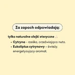 Cztery Szpaki, рідке мило, лимонний евкаліпт, 300 мл: ціни та характеристики