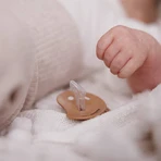 BabyOno, пустышка, 0-6 месяцев, анатомическая, силикон, бежевый/коричневый, 2 штуки: цены и характеристики