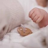 BabyOno, пустушка, 0-6 місяців, анатомічна, силіконова, бежева/коричнева, 2 штуки