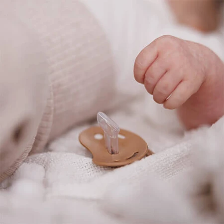 BabyOno, пустышка, 0-6 месяцев, анатомическая, силикон, бежевый/коричневый, 2 штуки: цены и характеристики