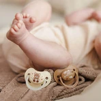 BabyOno, пустышка, 0-6 месяцев, анатомическая, силикон, бежевый/коричневый, 2 штуки: цены и характеристики