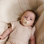 BabyOno, пустышка, 0-6 месяцев, анатомическая, силикон, бежевый/коричневый, 2 штуки: цены и характеристики