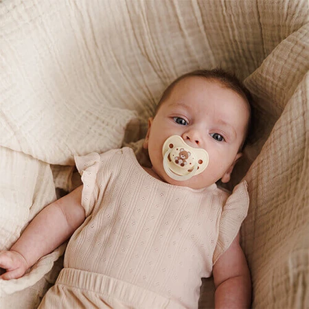 BabyOno, пустышка, 0-6 месяцев, анатомическая, силикон, бежевый/коричневый, 2 штуки: цены и характеристики