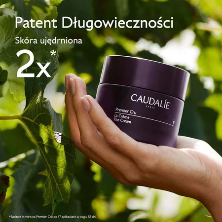 Caudalie Premier Cru, крем для лица, рефилл, 50 мл + косметичка в подарок: цены и характеристики