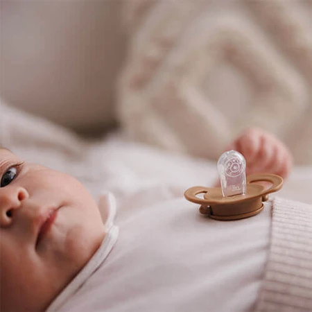 BabyOno, пустышка, 0-6 месяцев, симметричная, силикон, бежевый/коричневый, 2 штуки: цены и характеристики