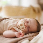 BabyOno, пустышка, 0-6 месяцев, симметричная, силикон, бежевый/коричневый, 2 штуки: цены и характеристики