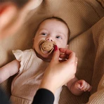 BabyOno, пустышка, 0-6 месяцев, симметричная, силикон, бежевый/коричневый, 2 штуки: цены и характеристики
