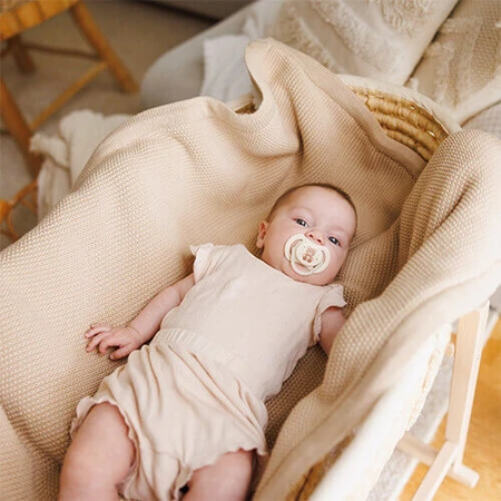 BabyOno, пустышка, 0-6 месяцев, симметричная, силикон, бежевый/коричневый, 2 штуки: цены и характеристики
