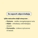 Cztery Szpaki, рідке мило, лимон і м'ята, 300 мл: ціни та характеристики