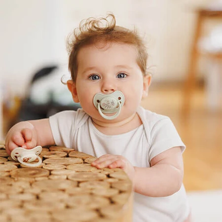 BabyOno, пустышка, 18 месяцев, анатомическая, силикон, серая, 2 штуки: цены и характеристики