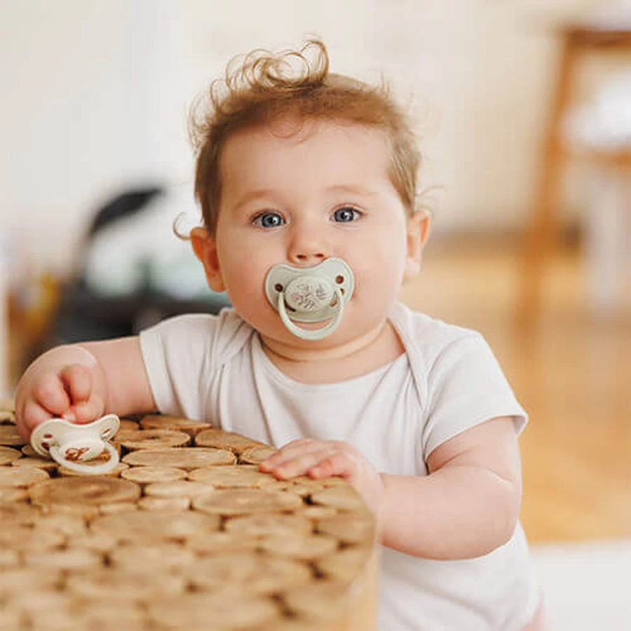 BabyOno, пустышка, 18 месяцев, анатомическая, силикон, серая, 2 штуки: цены и характеристики
