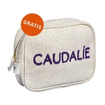 Caudalie Premier Cru, крем для лица с насыщенной текстурой, 50 мл + косметичка в подарок: цены и характеристики
