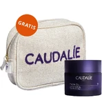 Caudalie Premier Cru, крем для лица с насыщенной текстурой, 50 мл + косметичка в подарок: цены и характеристики