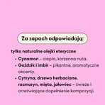 Cztery Szpaki, жидкое мыло, пряная кола, 300 мл: цены и характеристики