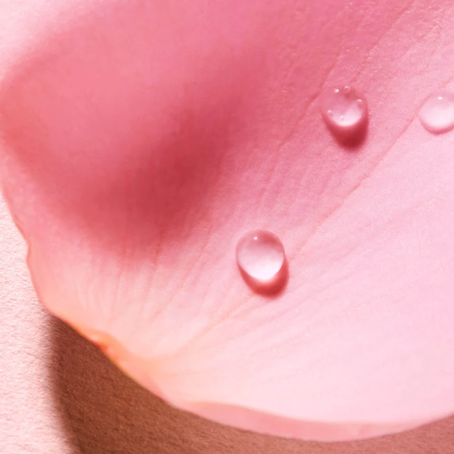 Nuxe Very Rose, Eau de Parfum, 100 мл: цены и характеристики