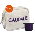 Caudalie Premier Cru, крем для обличчя з насиченою текстурою, поповнення, 50 мл + косметичка безкоштовно: ціни та характеристики