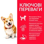 Hill's Science Plan Adult Small&Mini with Chicken Сухой корм с курицей для взрослых собак малых и миниатюрных пород, 3 кг: цены и характеристики
