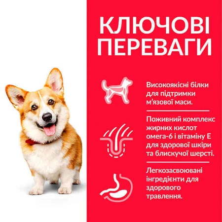 Hill's Science Plan Adult Small&Mini with Chicken Сухой корм с курицей для взрослых собак малых и миниатюрных пород, 3 кг: цены и характеристики