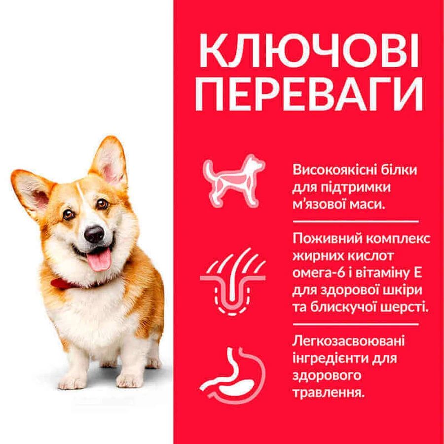Hill's Science Plan Adult Small & Mini with Chicken Сухий корм з куркою для дорослих собак малих і мініатюрних порід, 1 кг + 500 г: ціни та характеристики