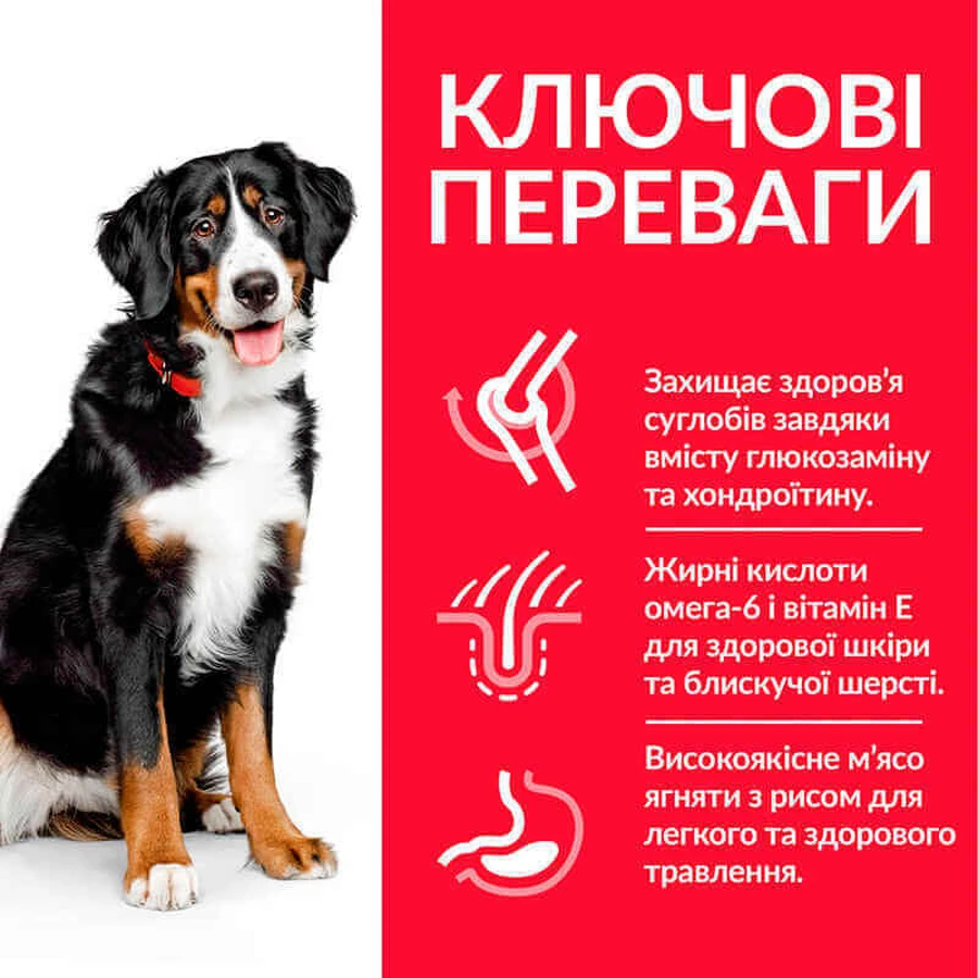 Hill's Science Plan Adult Large with Lamb & Rice Сухий корм з ягням і рисом для дорослих собак великих порід, 10 кг + 4 кг: ціни та характеристики