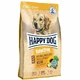 Happy Dog