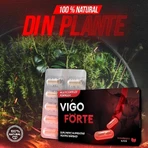 Таблетки для потенції та ерекції VigoForte, 100% натуральні, 10 капсул, Colt de Sanatate: ціни та характеристики
