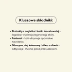 Cztery Szpaki, жидкое мыло, бомбелек, 300 мл: цены и характеристики
