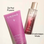 Caudalie The des Vignes, гель для душу, 200 мл + відновлювальний крем для рук та нігтів, 75 мл безкоштовно: ціни та характеристики
