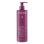 Caudalie The des Vignes, зволожуючий лосьйон для тіла з гіалуроновою кислотою, 400 мл + відновлюючий крем для рук та нігтів, 75 мл безкоштовно: ціни та характеристики