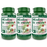 Пагони малини, 3x60 капсул, Pro Natura