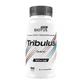 Трибулус, Tribulus, Biotus, 100 капсул