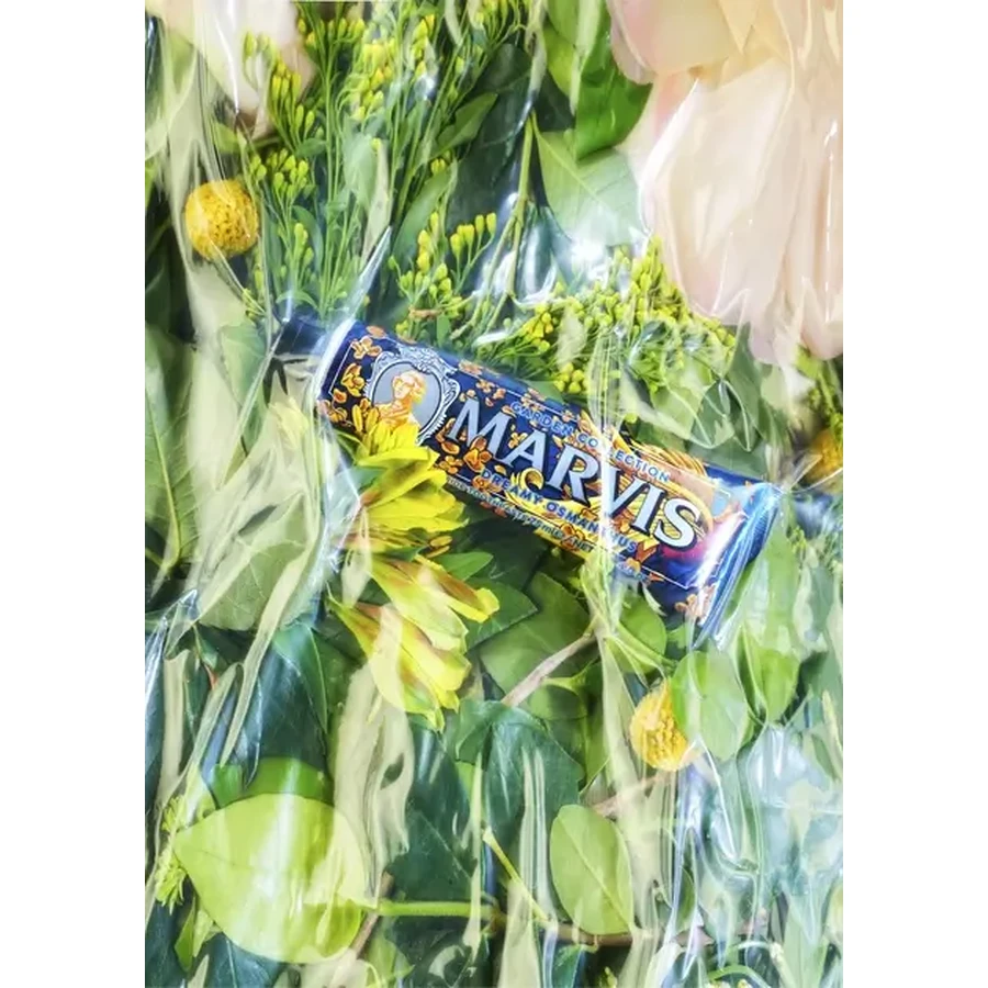 Зубная паста Marvis Dreamy Osmanthus, 75 мл: цены и характеристики