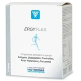 Nutergia Ergyflex 30 пакетиків