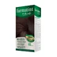 Farmatint 4N Каштан