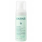 Caudalie Vinoclean Очищающая пенка 150 мл: цены и характеристики
