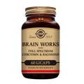 Solgar Brain Works 60 табл.