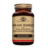 Solgar Brain Works 60 таб.