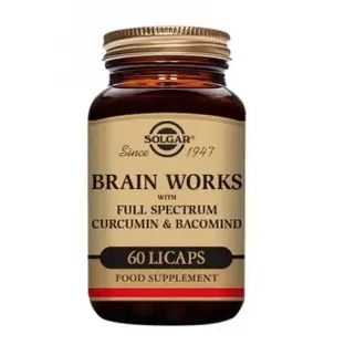 Solgar Brain Works 60 таб.