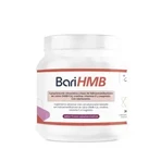 BariHMB 360 г с ягодным вкусом: цены и характеристики