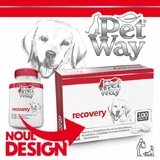 Petway Recovery - 100 таблеток