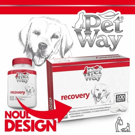 Petway Recovery - 100 таблеток: ціни та характеристики