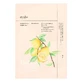 Ondo Beauty 36.5 Yuja Pong-Pong Charcoal &amp; Bubble Mask, 25 гр.