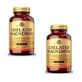 Solgar Magnesium Chelated Magnesium Pack 2 x 100 Tablets